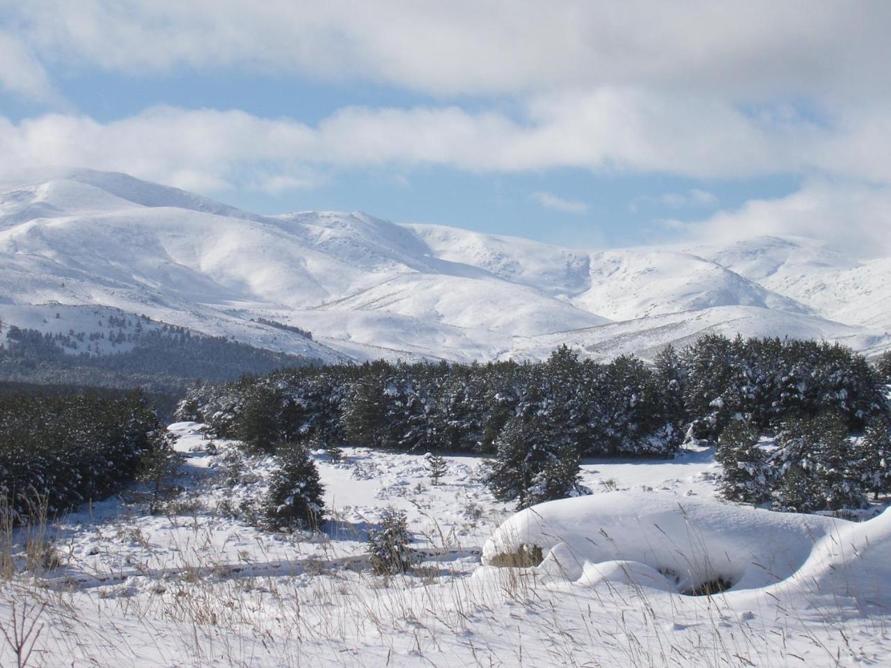 Villa Tinao De Gredos Barajas de Gredos Esterno foto