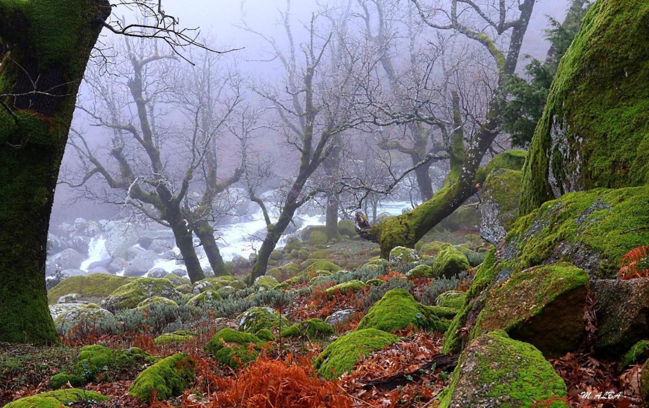 Villa Tinao De Gredos Barajas de Gredos Esterno foto
